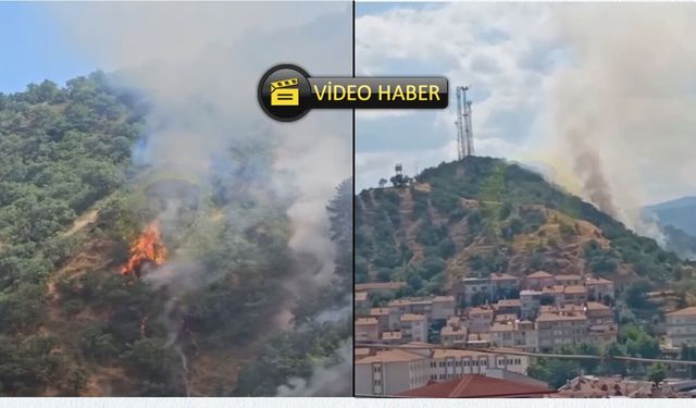 Son dakika: Tosya'da orman yangını çıktı! 'Panik yapmayın' çağrısı