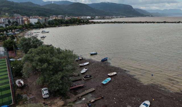 Kastamonu'da taşkının sürüklediği odunlar limanı kapattı
