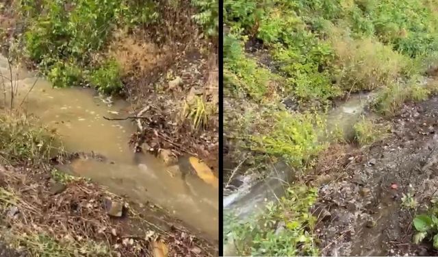 Kastamonu’da temizlenmeyen şarampoller tehlike saçıyor