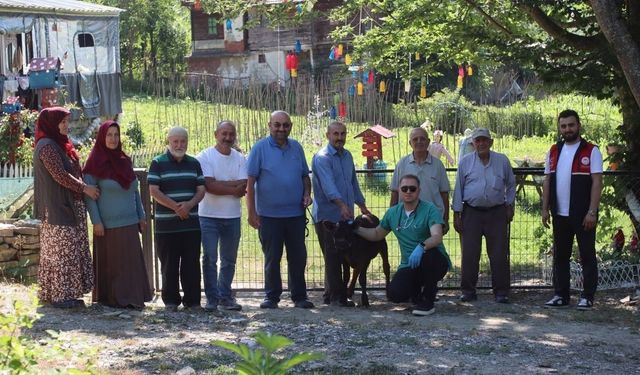Kastamonu’da üreticilere buzağı kayıplarını önleme eğitimi