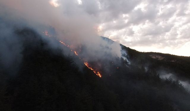 Kastamonu'daki orman yangınında söndürme çalışmaları sürüyor: Helikopter de devreye girdi