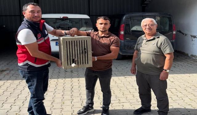 Kastamonu'da yaralı leylek kurtarıldı