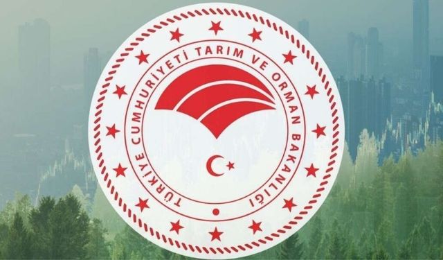 Gündem Haberleri