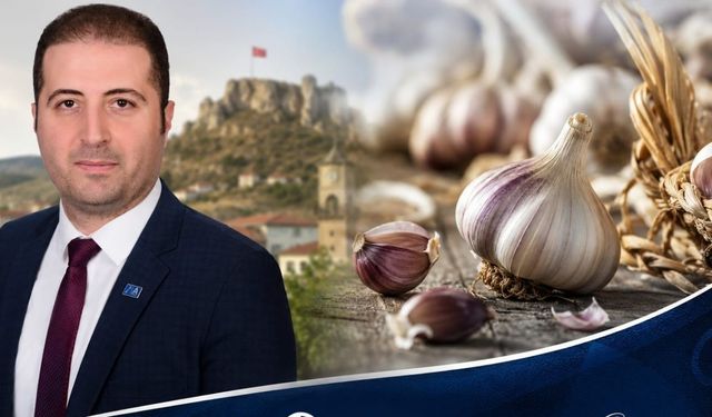 Taşköprü sarımsağı tartışmasına Anahtar Parti’den sert çıkış