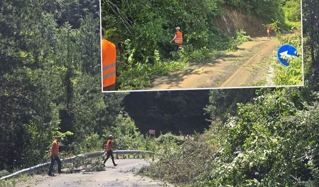 İnebolu-Doğanyurt yolunda güvenlik için temizlik çalışmaları sürüyor