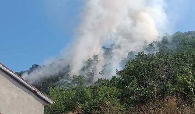 Kastamonu’da orman yangını: Ekipler yetişti korkulan olmadı!