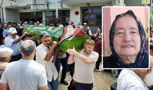 Kastamonu Cide Haberleri