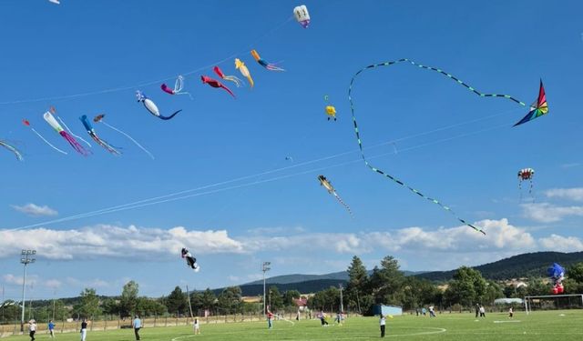 Daday’da renkli festival: Gökyüzü uçurtmalarla doldu