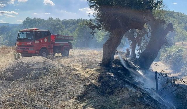 Hanönü’nde alevlerle kritik mücadele: Ormana sıçramadan söndürüldü