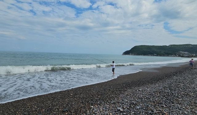 Karadeniz’de balık bereketi: Cide’de kovalar istavritle doldu