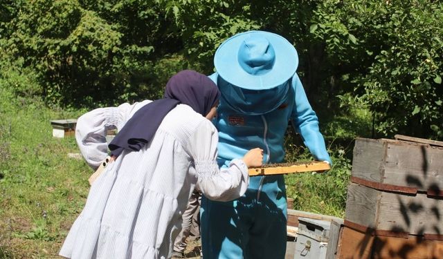 Kastamonu’da arıcılara yerinde destek