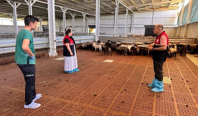 Kastamonu’da hayvancılık desteklemeleri için saha denetimi