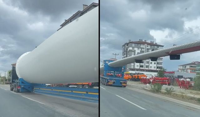 Kastamonu-Taşköprü yolunda dikkat çekmişti: Sırrı çözüldü