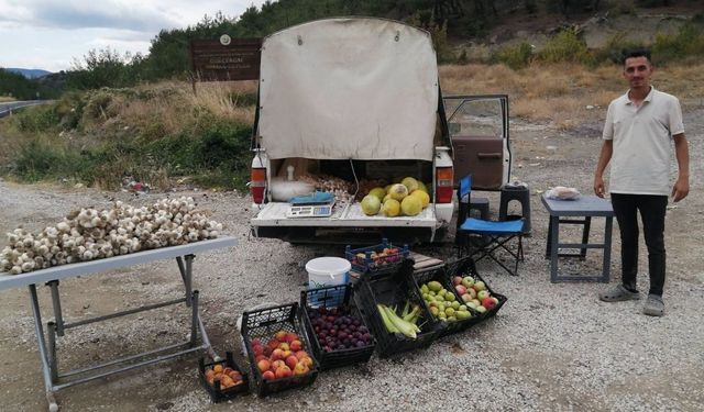 Kastamonu’da üniversite harçlığını topraktan çıkarıyor
