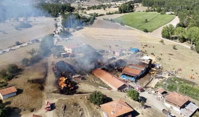 Kastamonu’daki yangının ilk bilançosu: 14 büyükbaş hayvan telef oldu