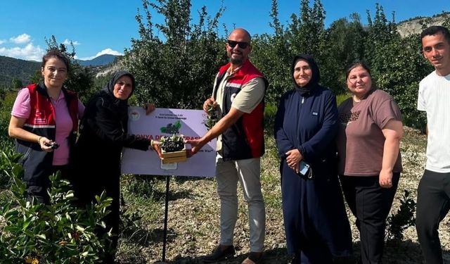 Kastamonu’nun yeni gelir kapısı oldu