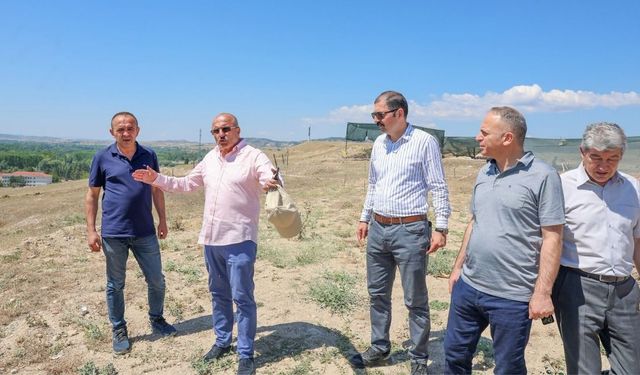 Pompeiopolis için kurumlar sahada: Taşköprü’nün tarihi mirası geleceğe taşınacak