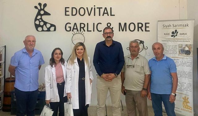 Taşköprü Kaymakamı Demirdağ’dan sarımsak işletmesine ziyaret