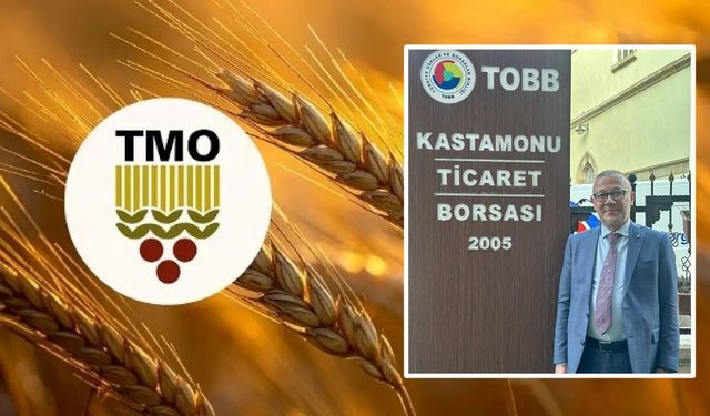 Kastamonu’da TMO, 12 bin ton hububat aldı