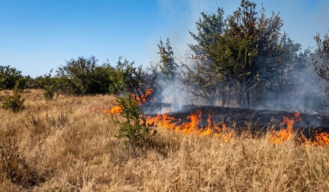 Taşköprü Karadedeoğlu Köyü’nde çıkan yangın kontrol altına alındı