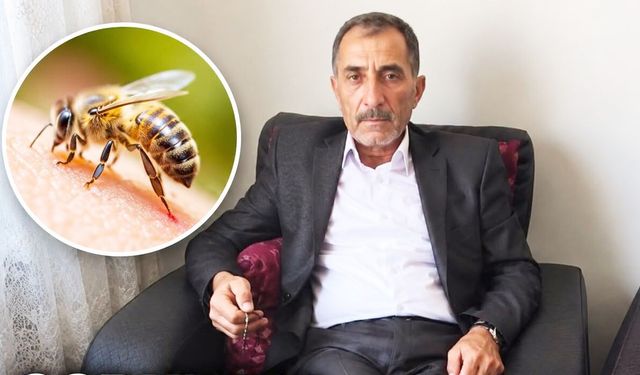 Arının soktuğu adam hastanede öldü!