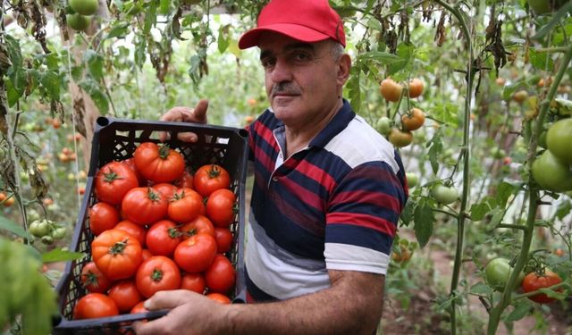 Devlet desteğiyle üretimini 7 kat artırdı: 100 bin TL kazandı