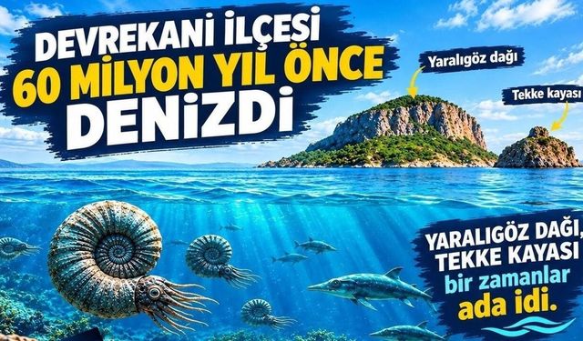 Devrekani, 60 milyon yıl önce denizdi: Yaralıgöz adaydı!