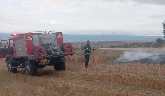 Elektrik tellerine çarpan kuş yangın çıkardı