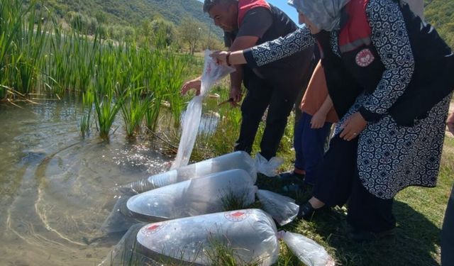Yaşam