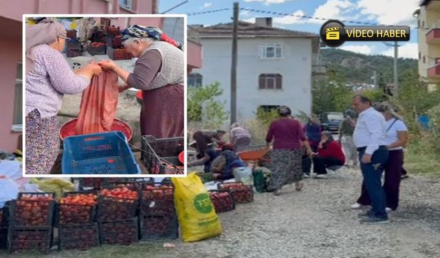 Hanönü'de kışa hazırlık mesaisi: Mahallelerden salça kokusu yükseliyor