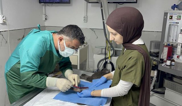 Kastamonu'da 8'nci kattan düştü: 4 günde yürümeye başladı