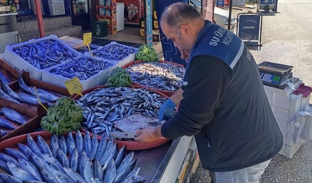 Kastamonu’da balık satış noktaları denetlendi