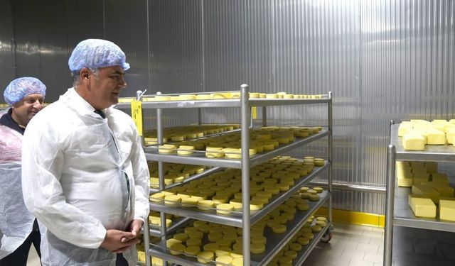 Kastamonu’da günlük 300 ton kapasiteli süt tesisi üretime başladı