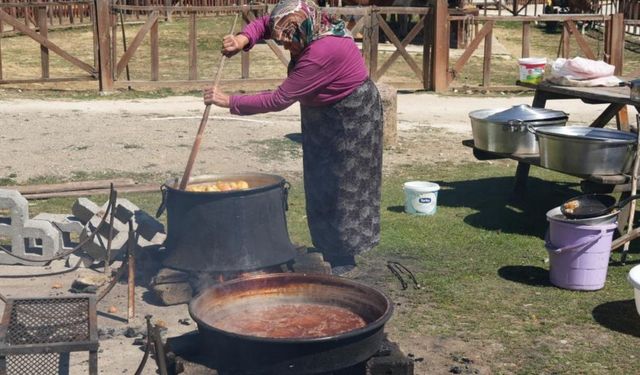 Kastamonu’da kış hazırlığı başladı: Elmalar pekmez ve pestil oluyor