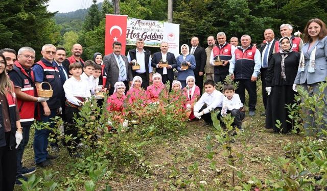 Şenpazar’da aronya hasadı başladı: Alternatif tarım ürünü yükselişte