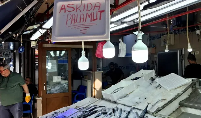 Komşuda palamut askıya çıktı