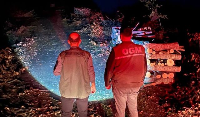 Kastamonu'da orman ekipleri teyakkuzda! Denetimler sürüyor