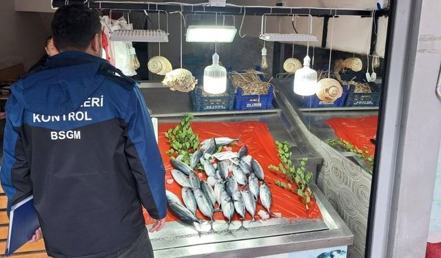 Çatalzeytin’de su ürünleri satışına yakın takip