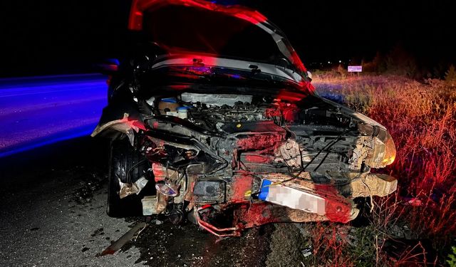 Hanönü’nde otomobil domuz sürüsüne çarptı: 2 yaralı