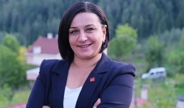 Yeni Parti Kastamonu’da kongreye gidiyor: Karabacak yeniden aday
