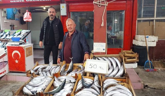 Balık severler müjde: Kastamonu’da palamut 50 Lira