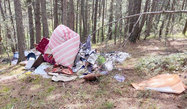 Kastamonu'da çirkin görüntü: Sorumlular cezalandırılsın!