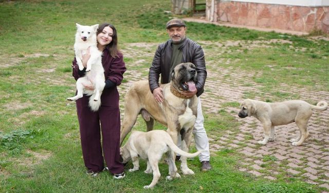 Kastamonu'da köpek sevgisi genç kadını markalı iş sahibi yaptı