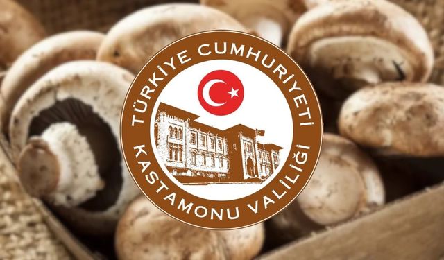 Kastamonu Valiliği uyardı: Ormana gidecekler dikkat!