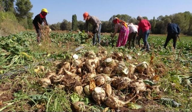 Kastamonu Yeni Parti'den pancar üreticisine destek çağrısı