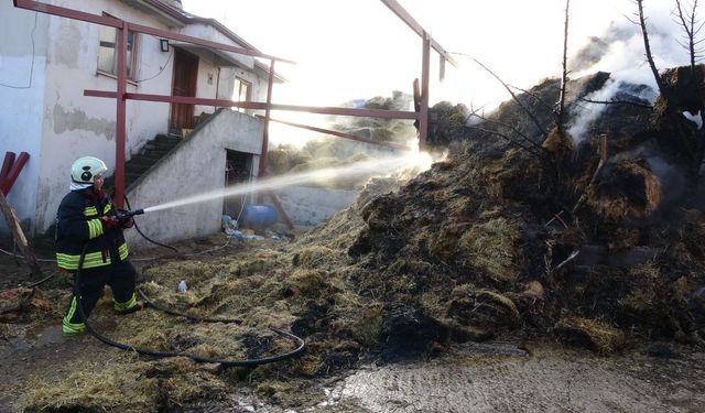 Kastamonu’da alevler çiftliği sardı! Binlerce balya saman yandı