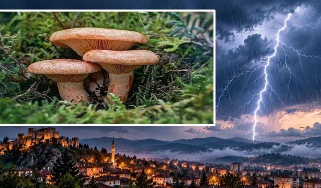 Kastamonu'da kanlıca mantarı için hava durumu: Hafta sonu plan yapanlara kötü haber