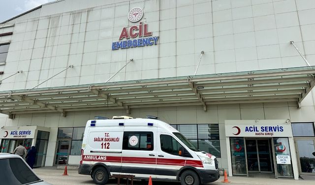 Kastamonu’da mantar paniği: 30 kişi hastanelik oldu