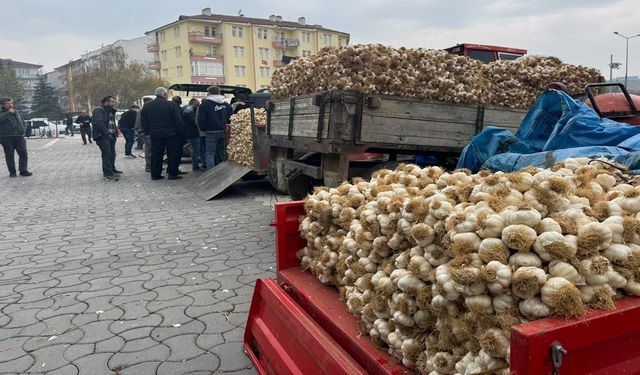 Taşköprü Sarımsak Pazarında hareketlilik: Bereketli olsun