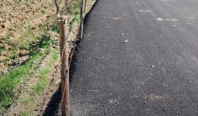 Taşköprü'de pes dedirten olay! Devletin yaptığı yola çit çekti
